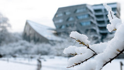 2303_zentralgebäude-schnee