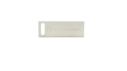 USB-Stick 8GB mit Leuphana Schriftzug
