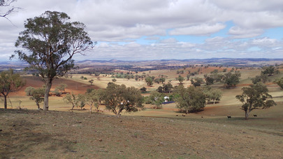 Dry Landscape Australia