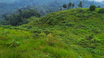 [Translate to Englisch:] Landscape in Rwanda