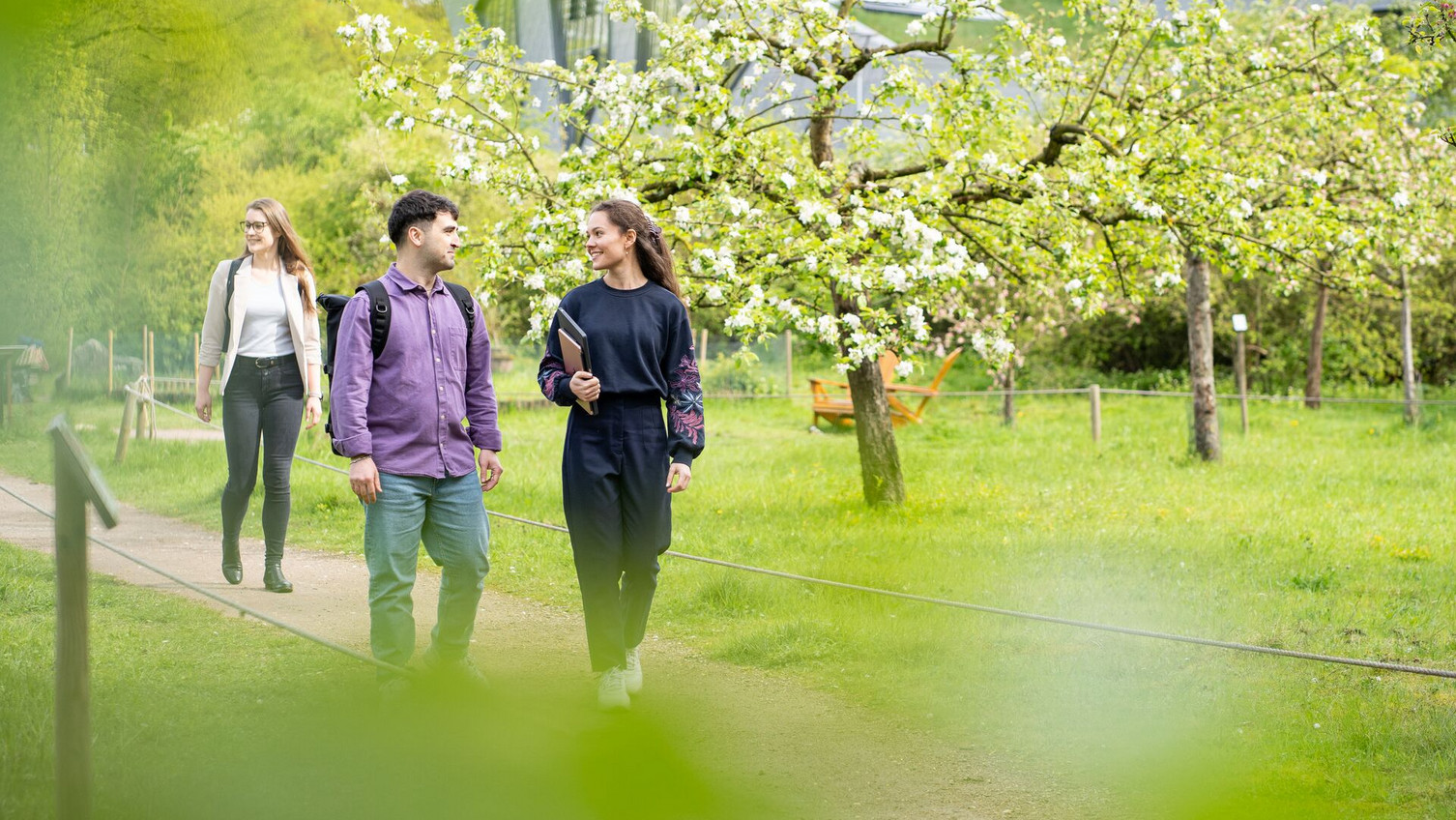 Unternehmerisches Nachhaltigkeitsmanagement studieren