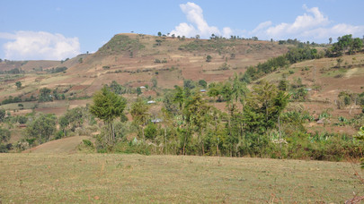 Ethiopian Landscape