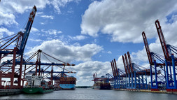 Kraene im Hamburger Hafen