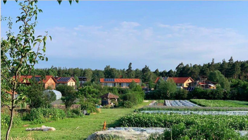 Gemüsefelder mit Blick auf das Ökodorf