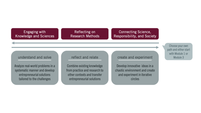 Overview of the Leuphana Sustainability Entrepreneurship Certificate (LSEC) structure