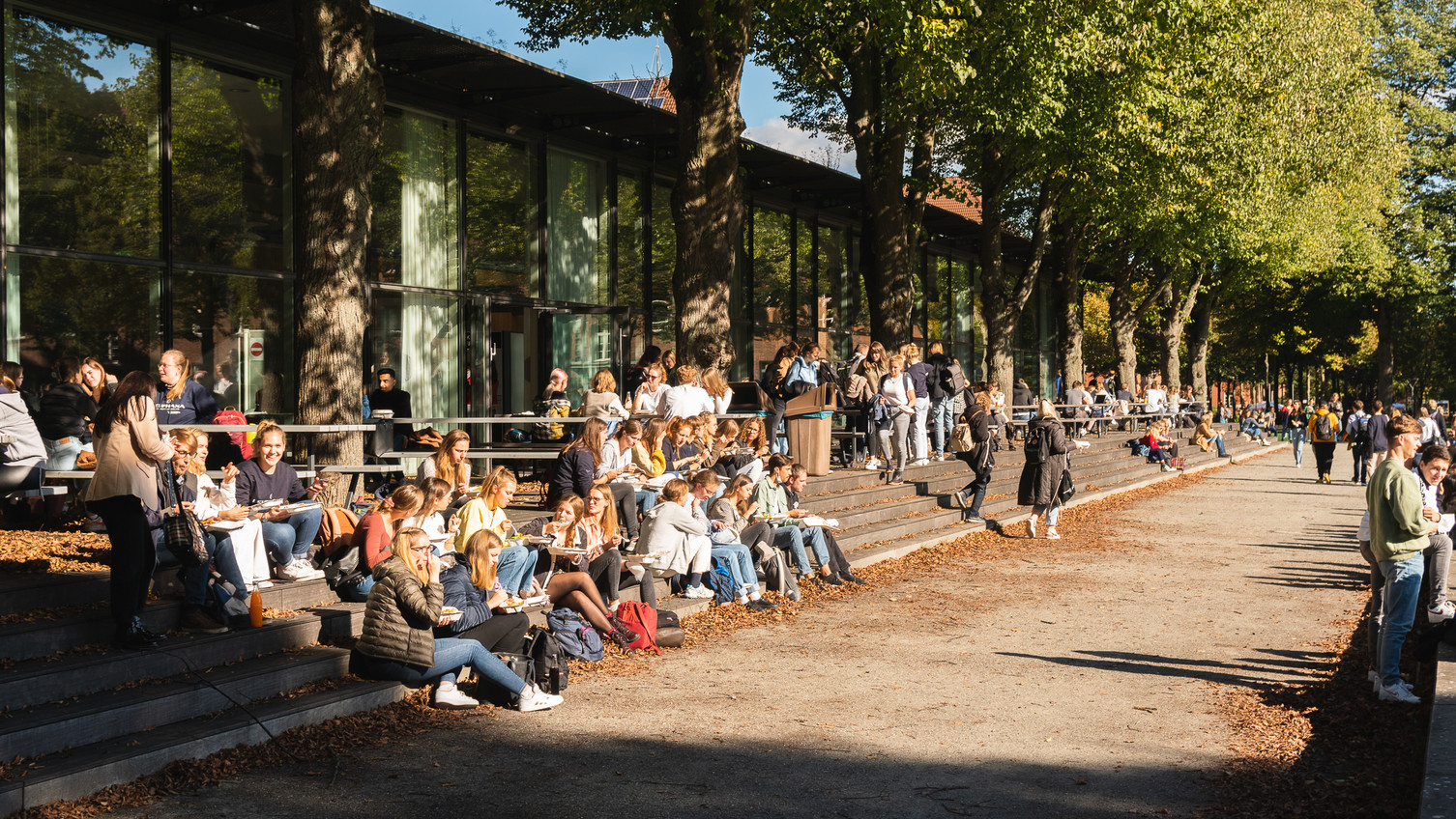 Impressionen