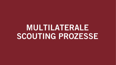 Multilaterale Scouting Prozesse
