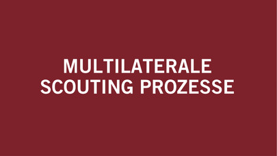 Multilaterale Scouting Prozesse