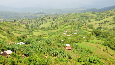 Ethiopian Landscape