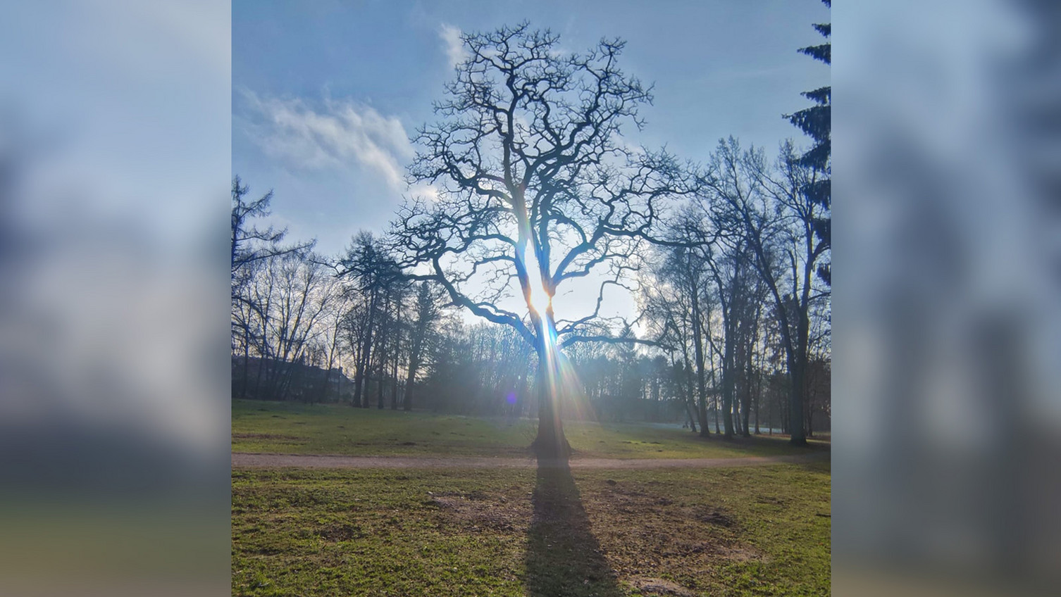 Always find your light - Kurpark