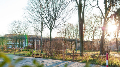 Waldgarten auf dem Campus