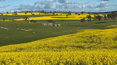 Landscape Australia