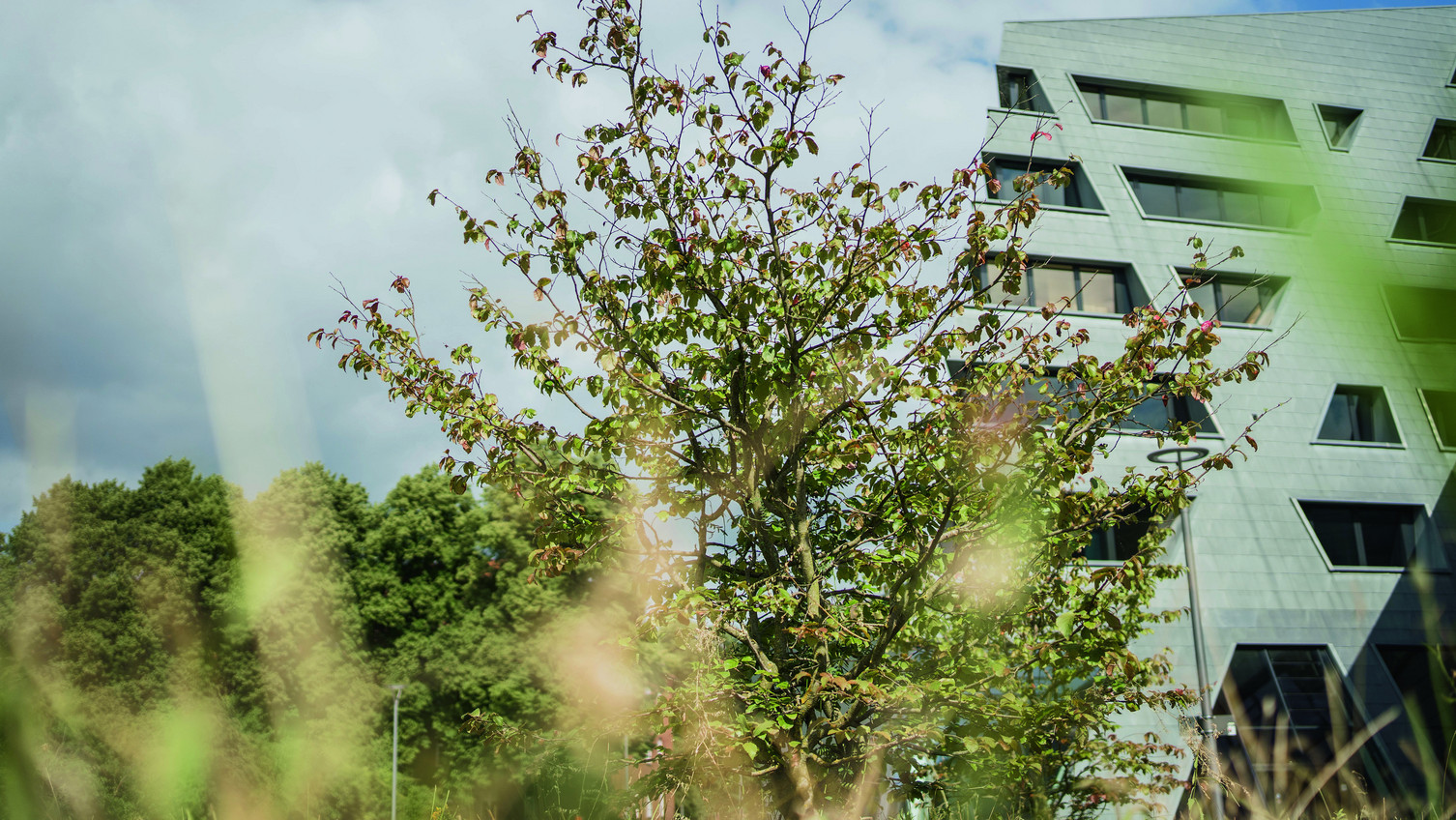 Natur auf dem Campus