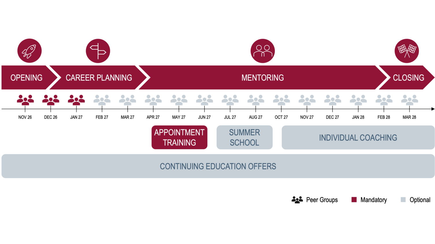 Structure of the ProScience mentoring programme
