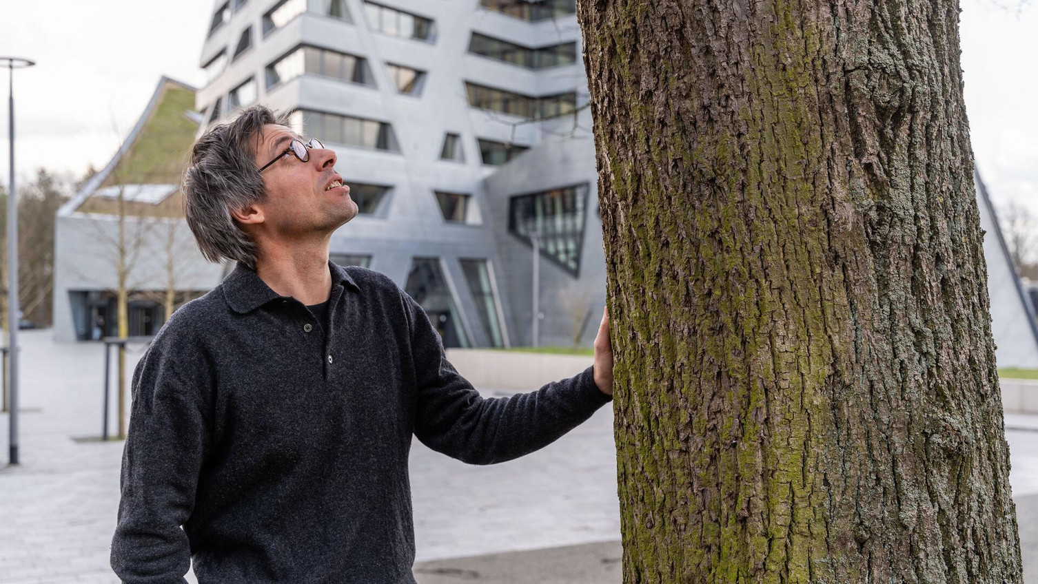 Study Social Trees In Climate Change Leuphana