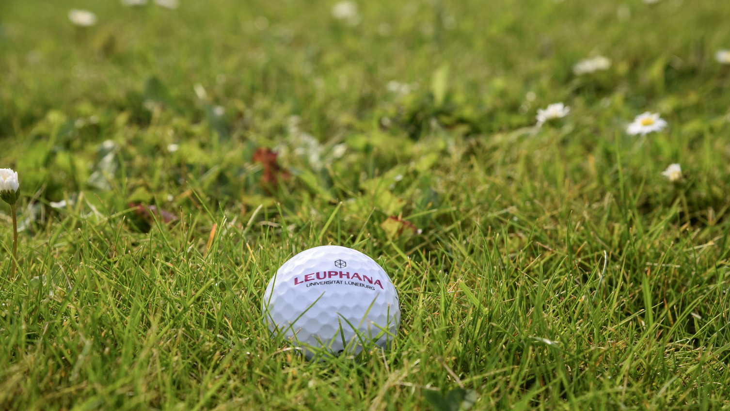 Ball im Gras Ball im Gras