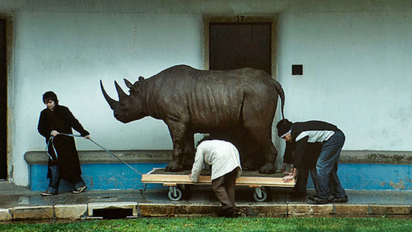 Xavier Téllez, O Rinoceronte de Dürer, 2010, Digitaler Film, Filmstill