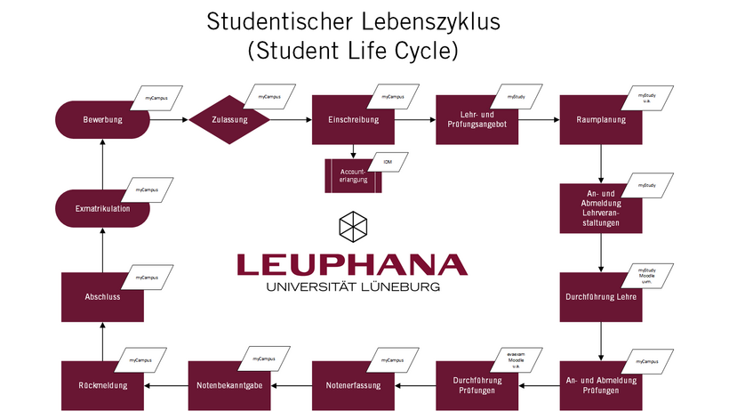 Studentischer Lebenszyklus