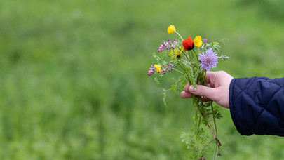 Blumenstrauß vor einer Wiese.