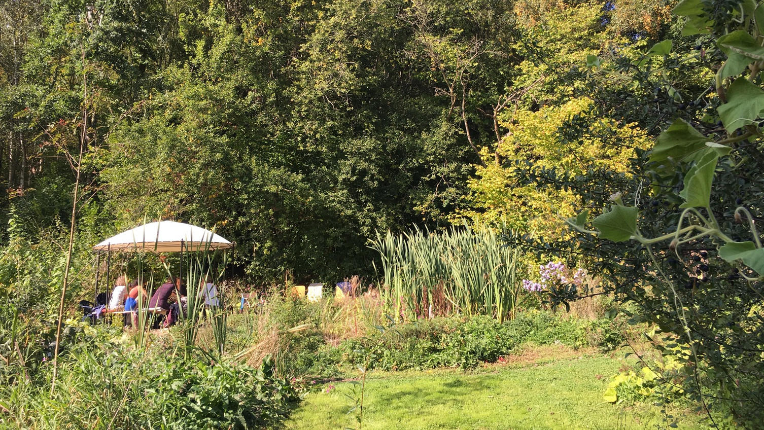 Haus in der Blume