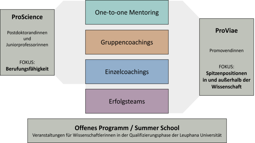 Überblick über die Förderprogramme für Nachwuchswissenschaftlerinnen an der Leuphana Universität Lüneburg