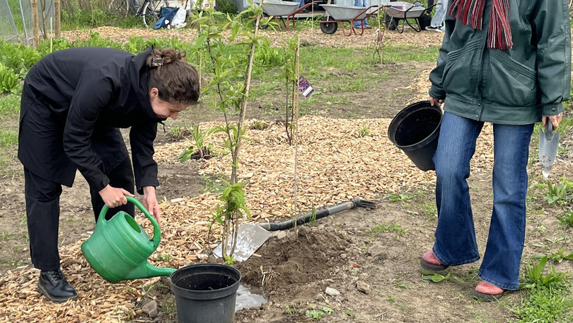 Studierende beim Pflanzen