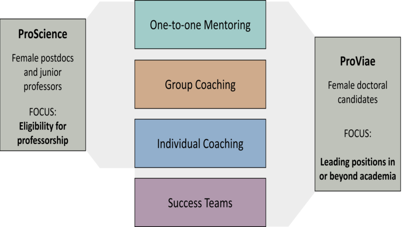 Mentoring programs
