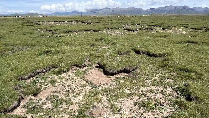 Yujie Niu Degraded grassland