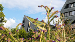 Flowers in front of the central building