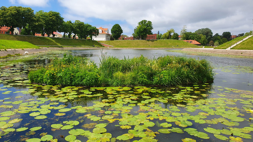 Biodiversitätsinsel in Klaipeda, Litauen 