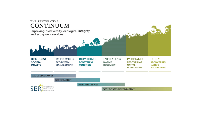 The restorative continuum