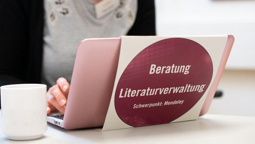 Beratung 11. LNdS (2018)