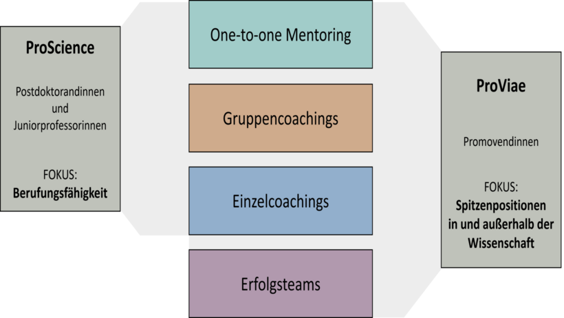 Mentoringprogramme