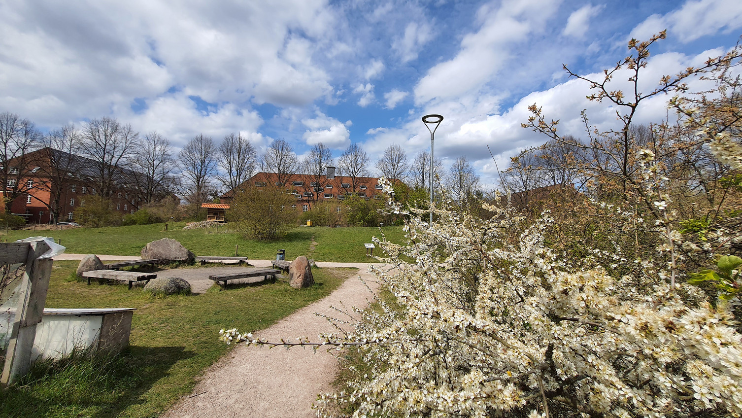 Biotopgarten auf dem Campus der Leuphana Universität