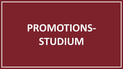 Strukturiertes Promotionsstudium