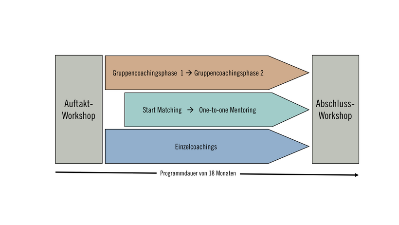 Programmablauf ProScience