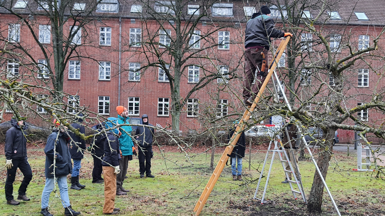 Obstbaumschnitt im Winter