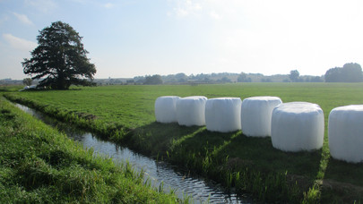 Wiesen- & Weidelandschaft mit Bewässerungsgraben und Siloballen