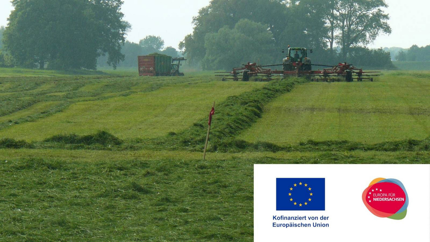 NBank - Kofinanziert Europäische Union_Europa für Niedersachsen