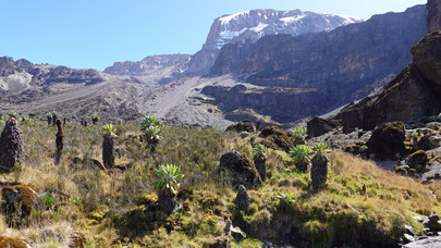 Climbing Kilimanjaro for healing cancer