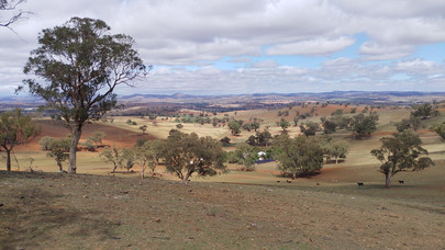 [Translate to Englisch:] Dry Landscape Australia