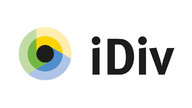 iDiv Logo