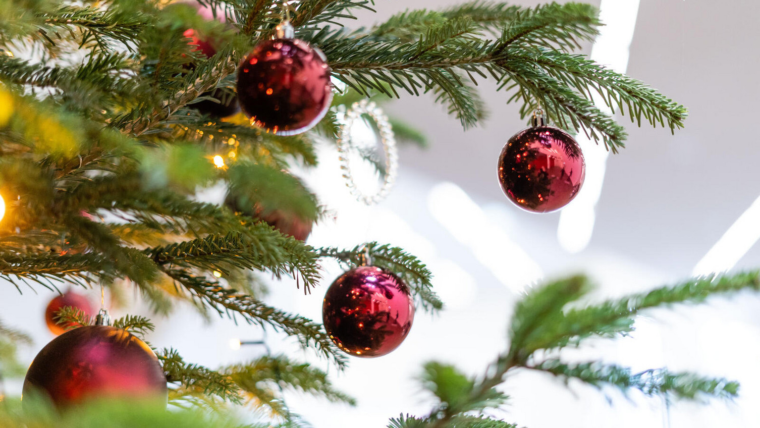 Christmas tree with red balls