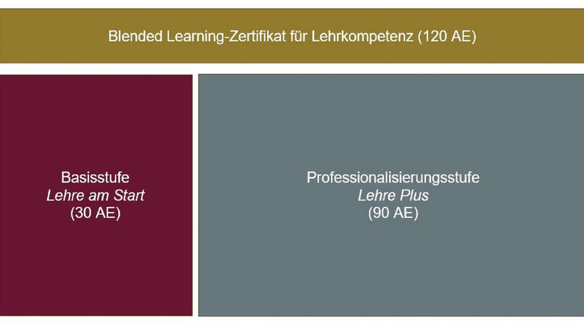 Aufbau des Blended Learning-Zertifikats