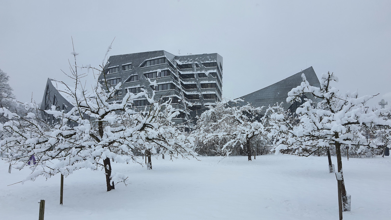 Biotopgarten und Zentralgebäude der Leuphana im Winter