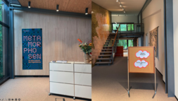 metaplan-lost-summer-2024