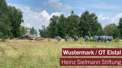 Heinz Sielmann Stiftung