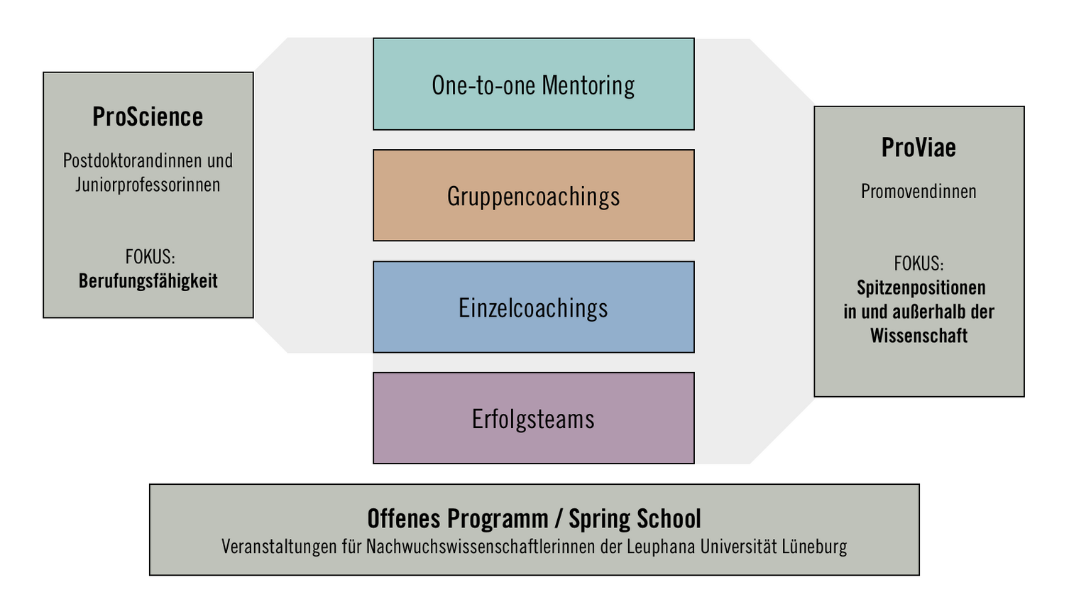 Überblick über die Förderprogramme für Nachwuchswissenschaftlerinnen an der Leuphana Universität Lüneburg