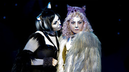 [Translate to Englisch:] Cats Szene