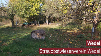 Streuobstwiesenverein Wedel